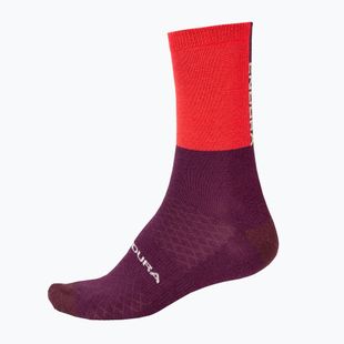 Skarpety Endura Baa Baa Merino Winter pomegranate