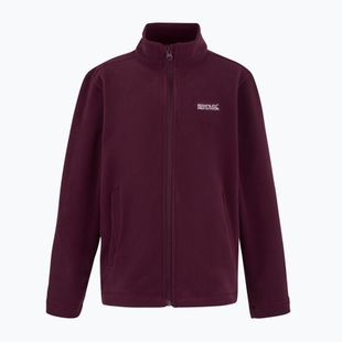 Bluza polarowa dziecięca REGATTA King II fig