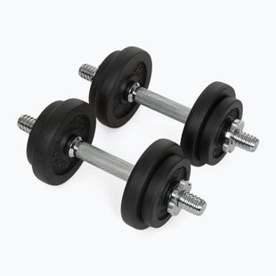 Zestaw hantli XTREXO DK20 20 kg