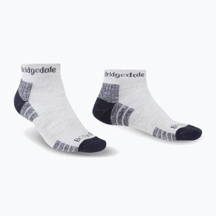 Skarpety męskie Bridgedale Hike Lightweight Performance Ankle silver/navy
