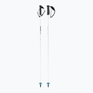 Kije narciarskie HEAD Worldcup Rebels Carbon white