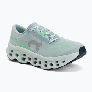 Buty do biegania męskie On Cloudmonster 3 brook/flurry