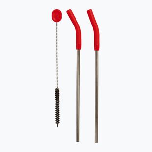 Słomki Hydro Flask Stainless Steel Straw 2 szt. goji
