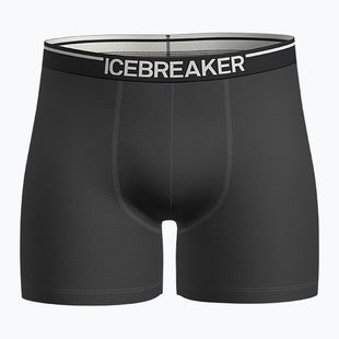 Bokserki termoaktywne męskie icebreaker Anatomica plume jet heather