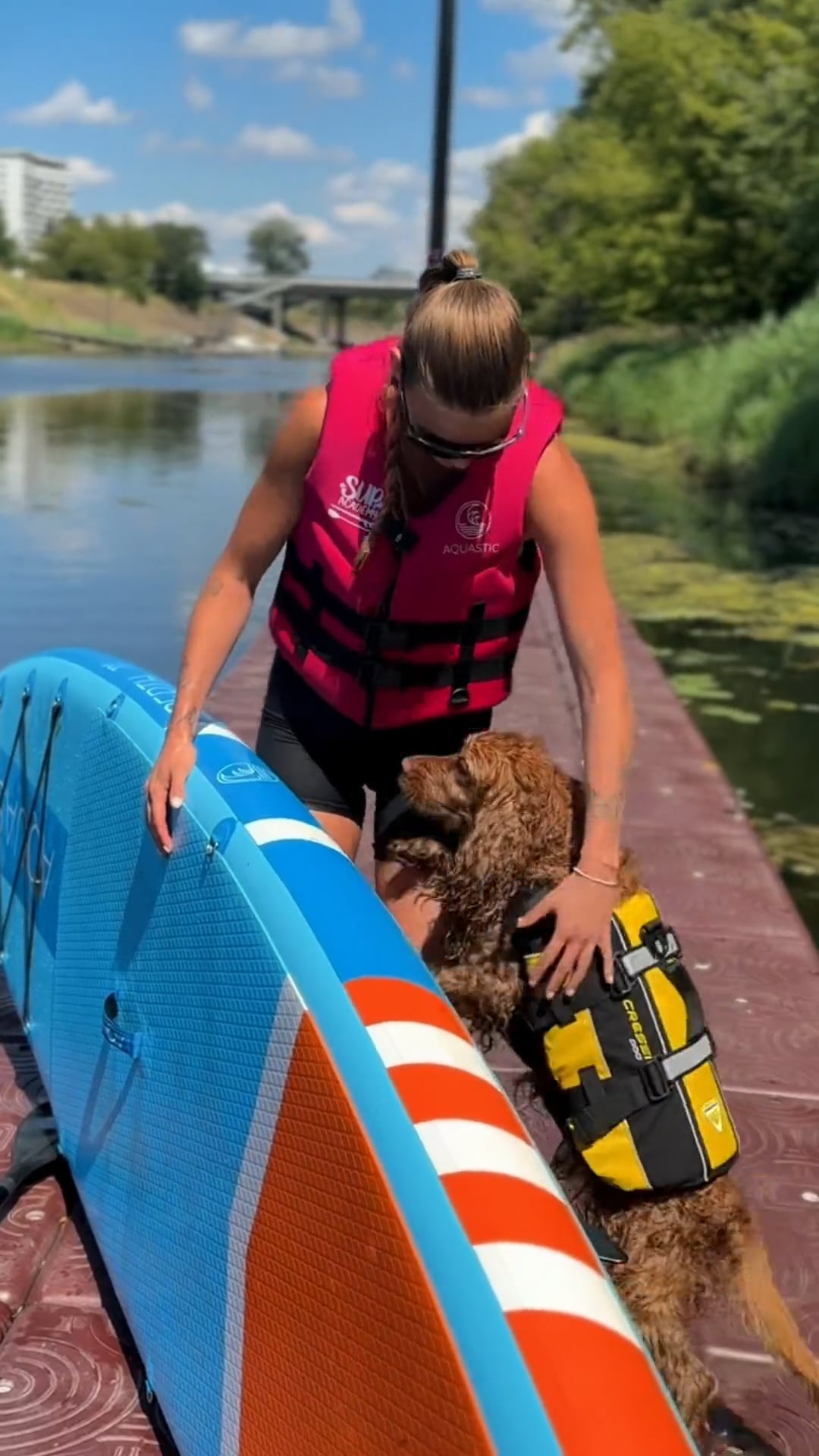 Kamizelka asekuracyjna dla psa Cressi Dog Life Jacket black/yellow